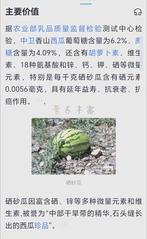 宁夏的硒砂瓜（宁夏的硒砂瓜）-硒宝网