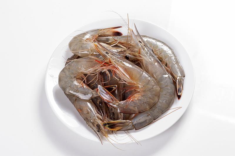 普通鸡蛋和富硒鸡蛋有什么区别(富硒鸡蛋和普通鸡蛋怎么区分)-硒宝网