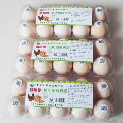 普通鸡蛋和富硒鸡蛋有什么区别(富硒鸡蛋和普通鸡蛋怎么区分)-硒宝网