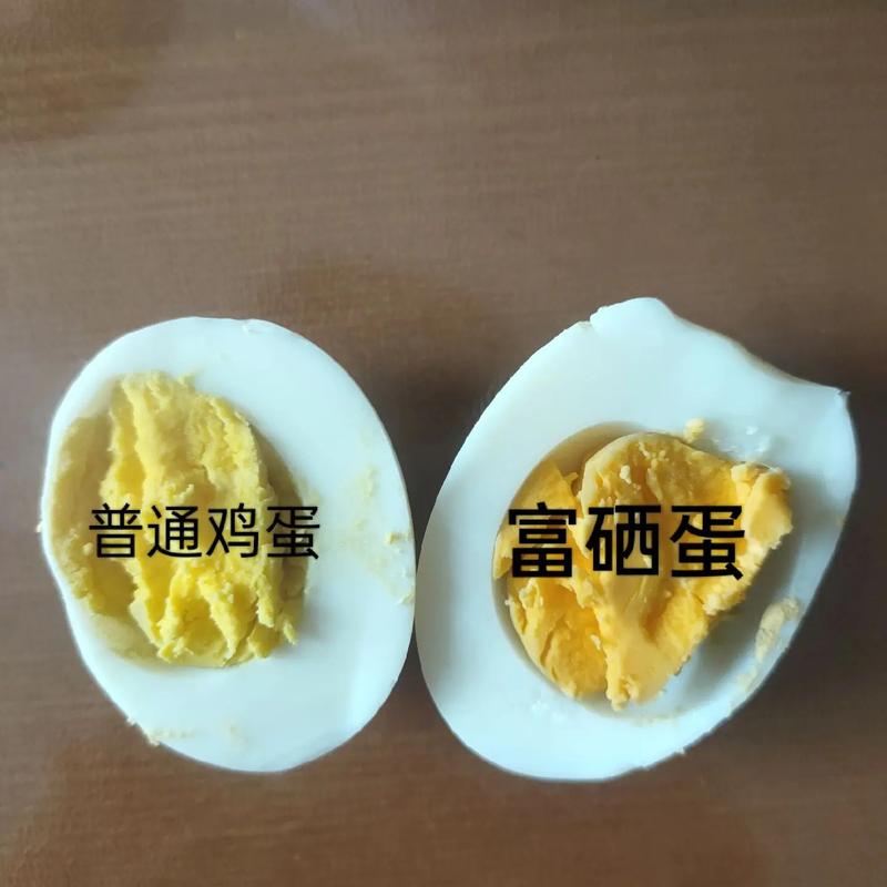 普通鸡蛋和富硒鸡蛋有什么区别(富硒鸡蛋和普通鸡蛋哪个好)-硒宝网
