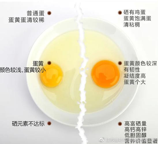 普通鸡蛋和富硒鸡蛋有什么区别(富硒鸡蛋和普通鸡蛋哪个好)-硒宝网