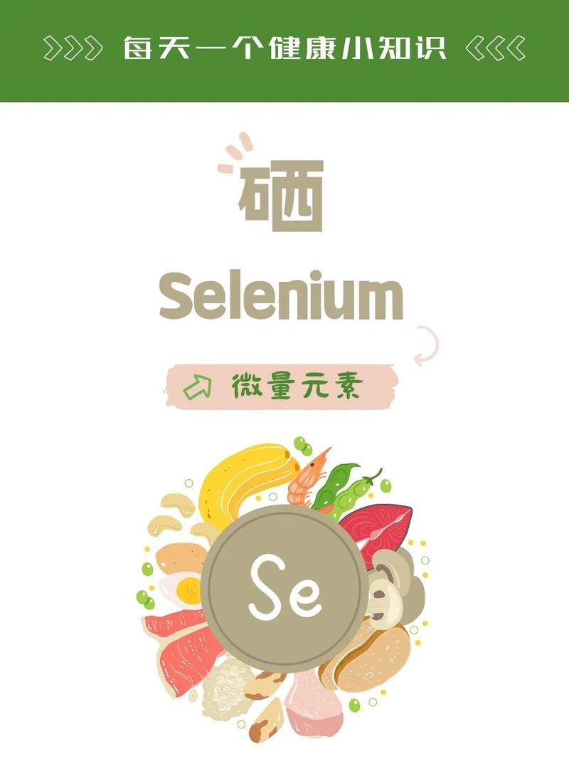 硒的最外层电子数(硒的电子层数)-硒宝网