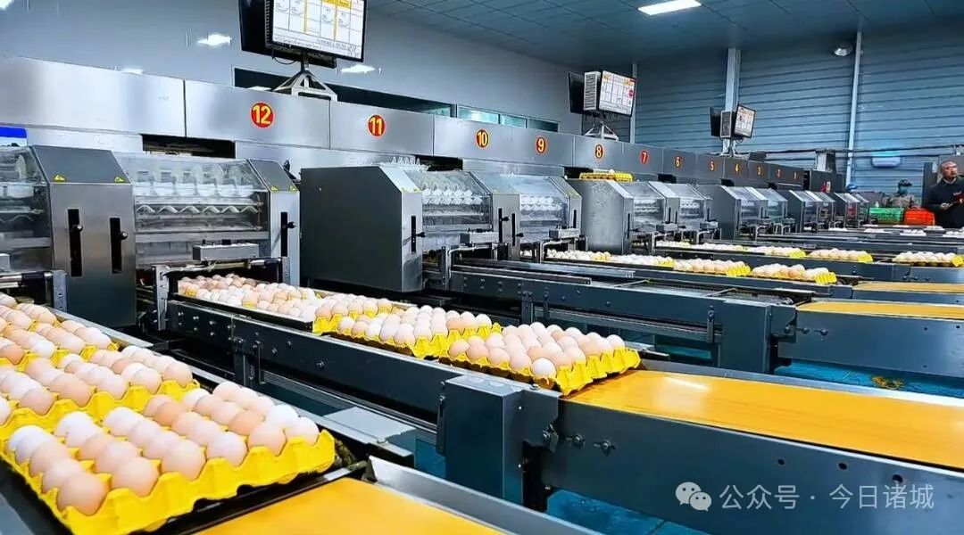 郢天牌富硒片质量怎么样（郢天硒全国销售价格）-硒宝网