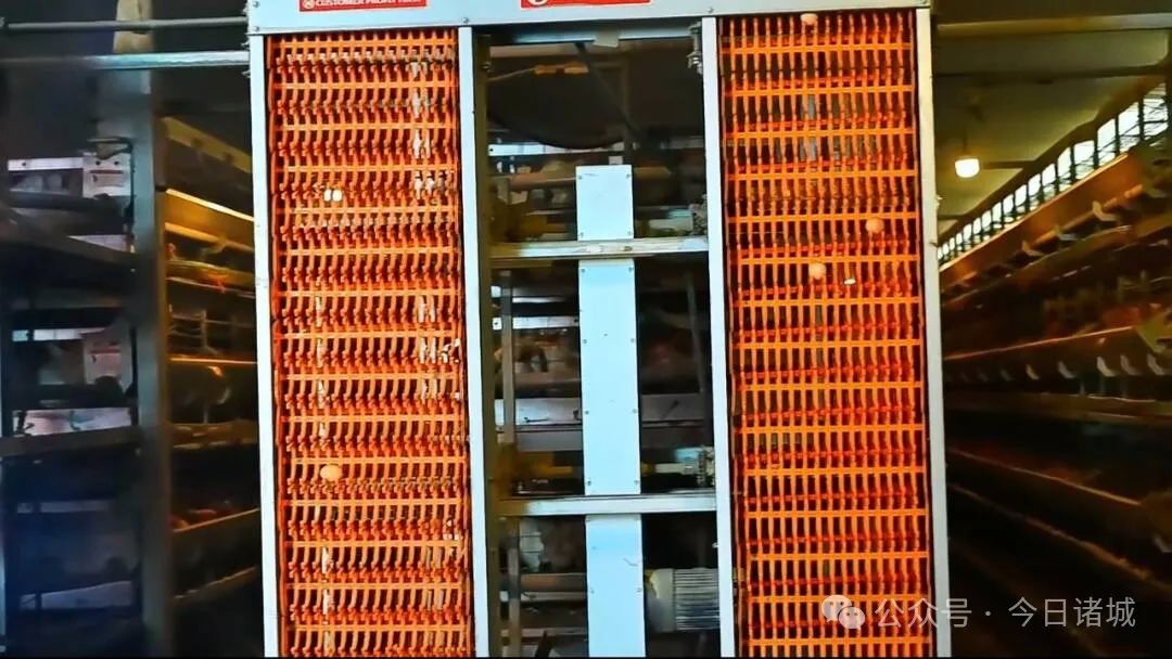 郢天牌富硒片质量怎么样（郢天硒全国销售价格）-硒宝网