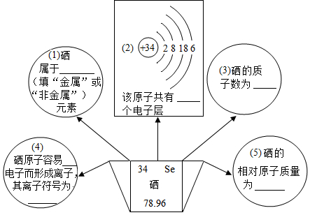 硒的最外层电子数(硒的核外电子数)-硒宝网