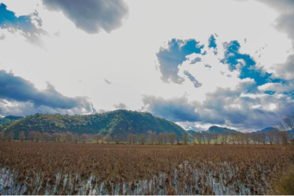 云南富硒地区(云南硒分布)-硒宝网