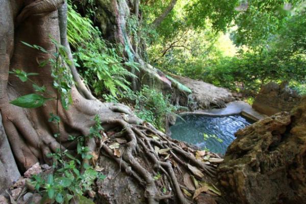 云南富硒地区(云南硒分布)-硒宝网