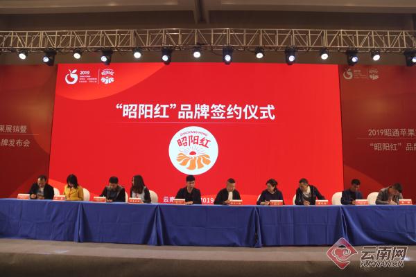 云南富硒地区(云南富硒在哪里)-硒宝网