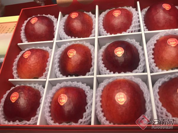 云南富硒地区(云南富硒在哪里)-硒宝网