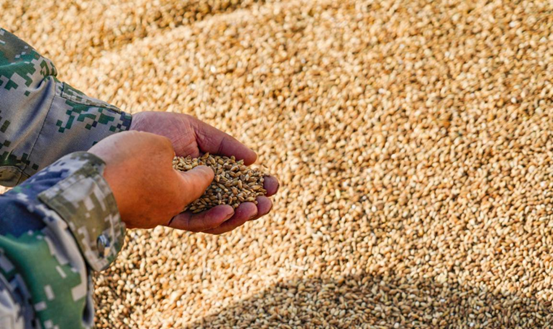 硒标法是几代（硒标法是第几代）-硒宝网