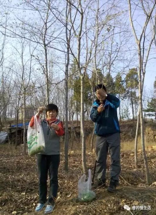 含硒的茶叶有哪几种（茶叶含硒量）-硒宝网