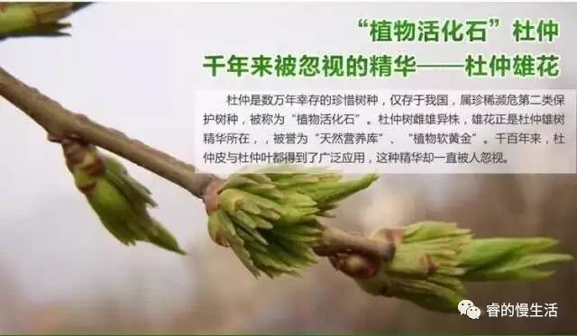 含硒的茶叶有哪几种（茶叶含硒量）-硒宝网