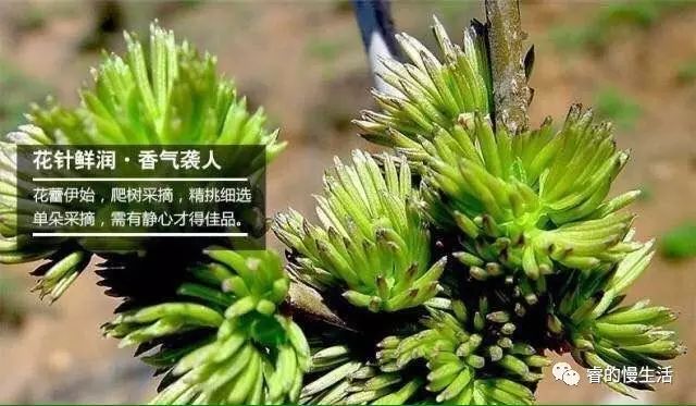含硒的茶叶有哪几种（茶叶含硒量）-硒宝网