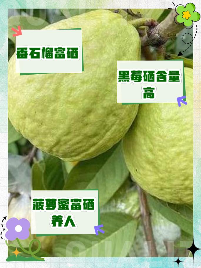 那种水果含硒高?（水果含硒量）-硒宝网