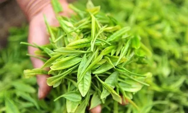 含硒的茶叶有哪几种(茶叶中含硒最丰富的茶)-硒宝网