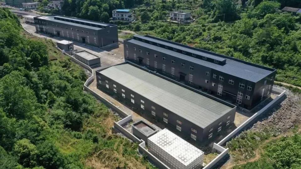 亿来健硒黑茶（黑茶硒元素含量与其他茶叶）-硒宝网