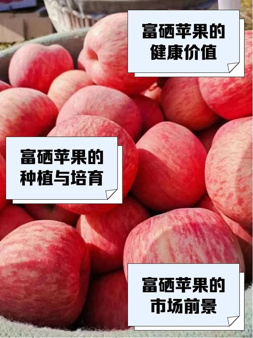 那种水果含硒高?（水果中含硒最高20名）-硒宝网