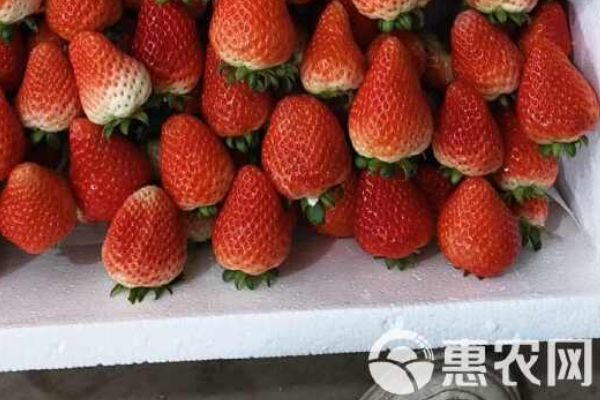 富硒产地排名(十大富硒品牌)-硒宝网