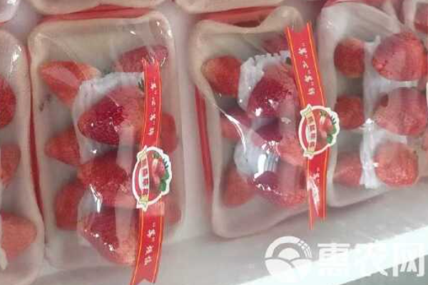 富硒产地排名(十大富硒品牌)-硒宝网