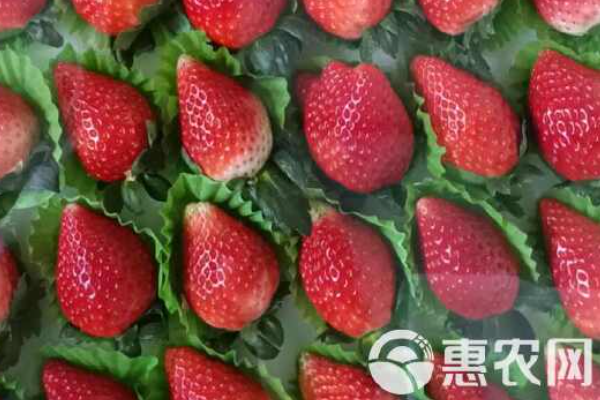 富硒产地排名(十大富硒品牌)-硒宝网