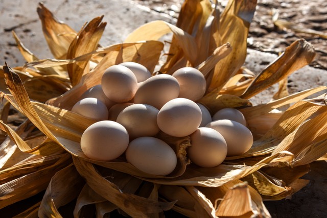 富硒鸡蛋是什么意思?。Φ案晃?硒宝网