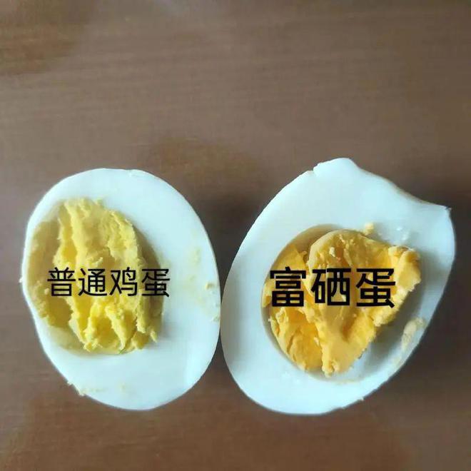 土鸡蛋和富硒鸡蛋哪种好(鸡蛋土种富硒好不好)-硒宝网