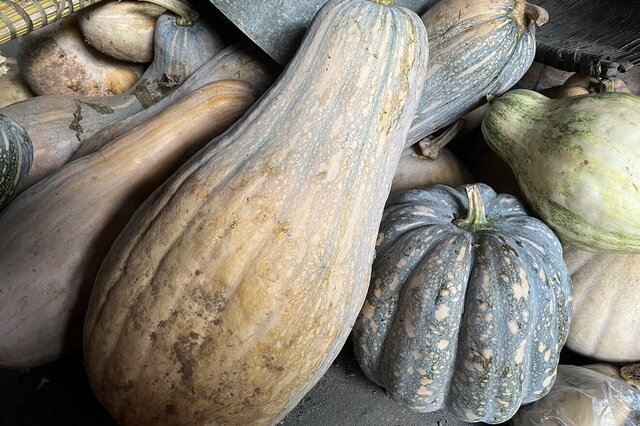 什么食品硒含量高（食品中含硒高低）-硒宝网