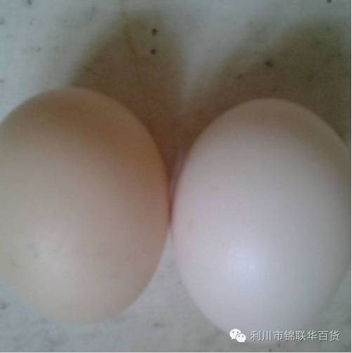 富硒土鸡蛋和普通鸡蛋的区别（富硒鸡蛋和普通鸡蛋营养价值）-硒宝网