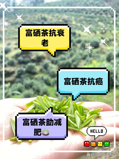 富硒茶的好处（富硒的茶）-硒宝网