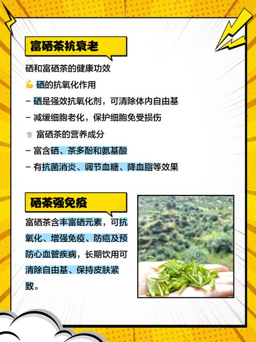 富硒茶的好处（富硒的茶）-硒宝网
