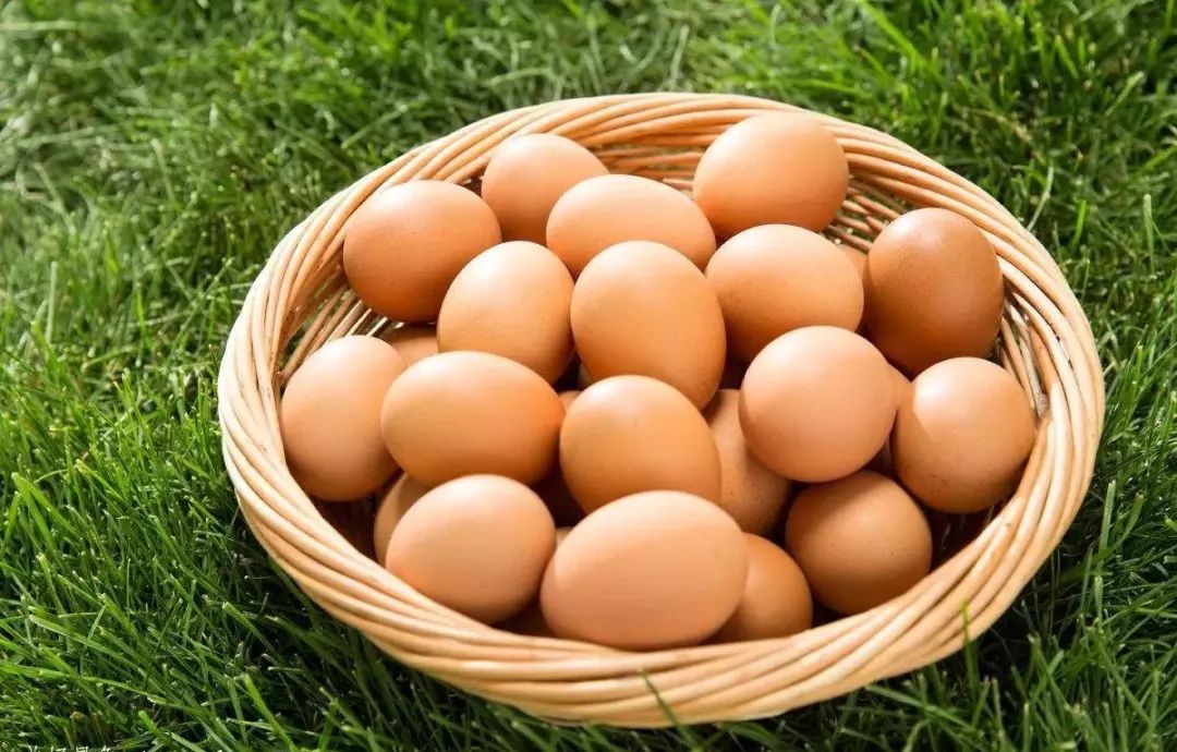 富硒土鸡蛋和普通鸡蛋的区别（富硒鸡蛋和普通鸡蛋怎么区分）-硒宝网
