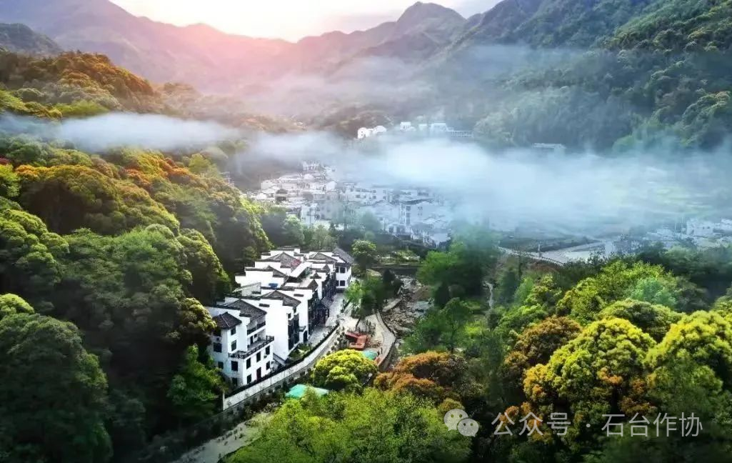 仙寓山富硒茶（仙寓山富硒茶多少钱1斤）-硒宝网