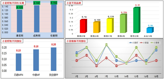 富硒小麦标准（富硒小麦怎样才能合格标准）-硒宝网