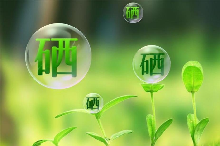 硒的六大生理功能（硒生理功能有哪些）-硒宝网