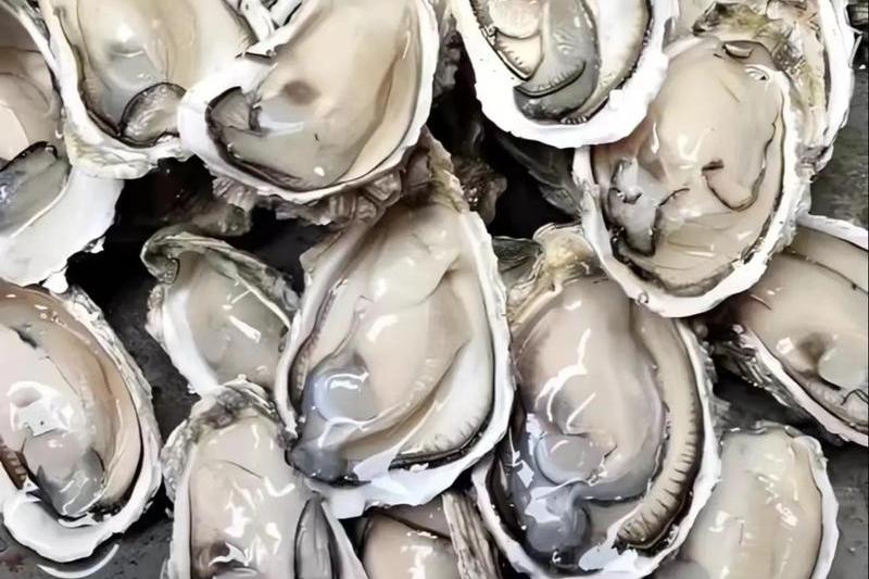 硒的六大生理功能（硒生理功能有哪些）-硒宝网