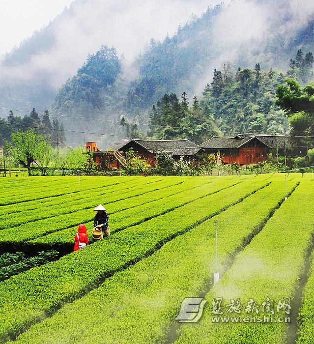 农科院的硒是真的吗(中国农科院生产的硒多少钱一盒)-硒宝网