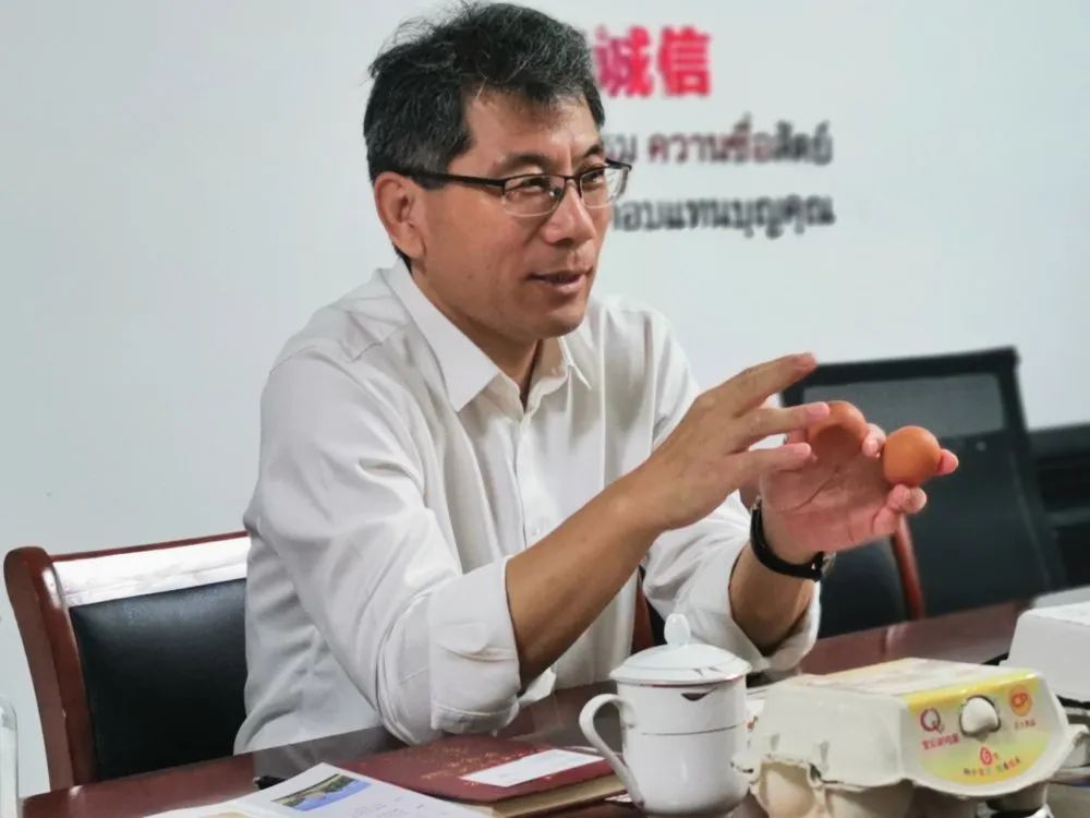 富硒无抗鸡蛋是真的吗(鸡蛋富硒)-硒宝网