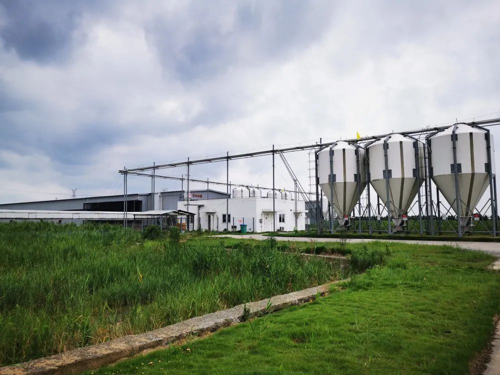 富硒无抗鸡蛋是真的吗(鸡蛋富硒)-硒宝网