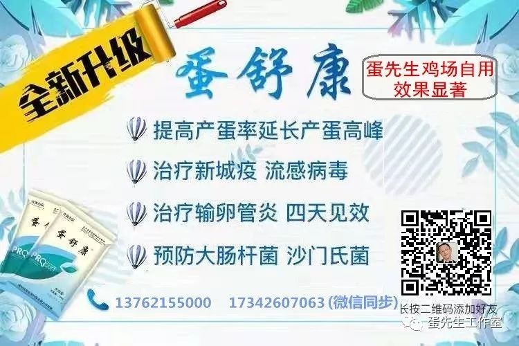 富硒无抗鸡蛋是真的吗（一种无抗富硒鸡蛋的生产方法）-硒宝网