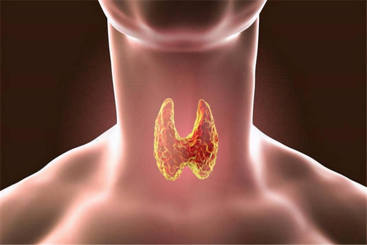 什么是富硒虫草肽(富硒虫草肽是什么零食)-硒宝网