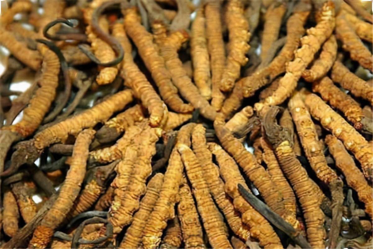什么是富硒虫草肽(富硒虫草肽是什么零食)-硒宝网