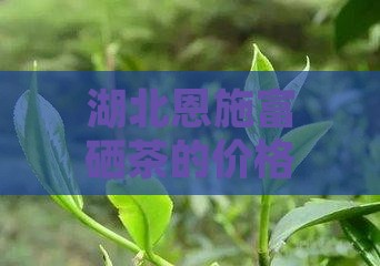 恩施硒茶多少钱一盒（恩施硒茶是什么茶价格）-硒宝网