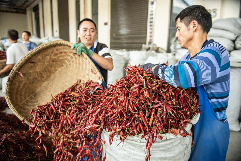 贵州锌硒茶的功效(贵州锌硒茶是什么茶)-硒宝网