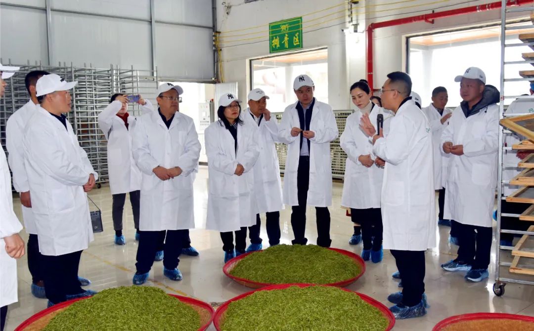 锌硒茶是什么茶(锌硒茶怎么回事)-硒宝网