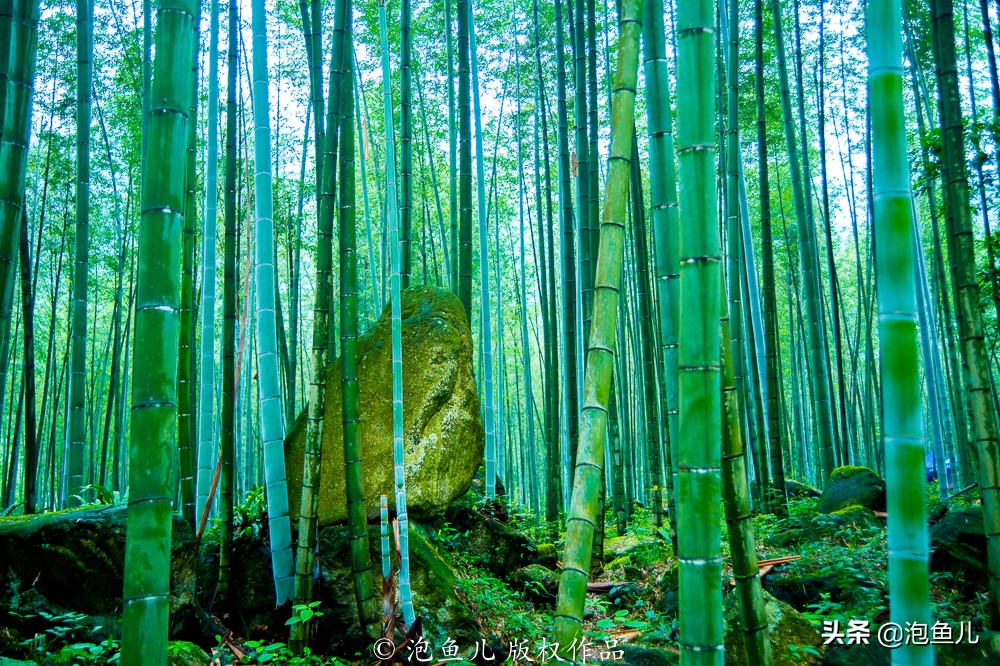 富硒温泉的功效（温泉功效富硒的作用）-硒宝网