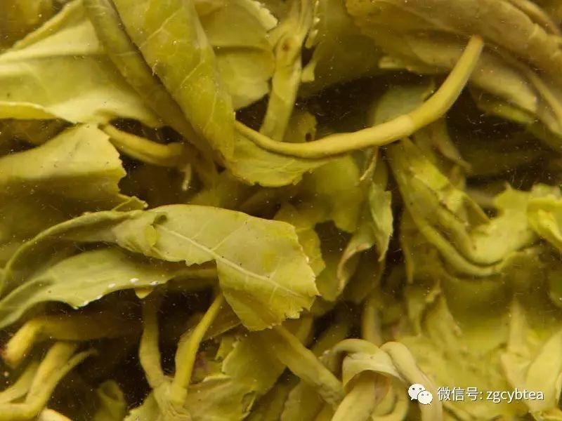 锌硒茶是什么茶（锌硒茶怎么回事）-硒宝网