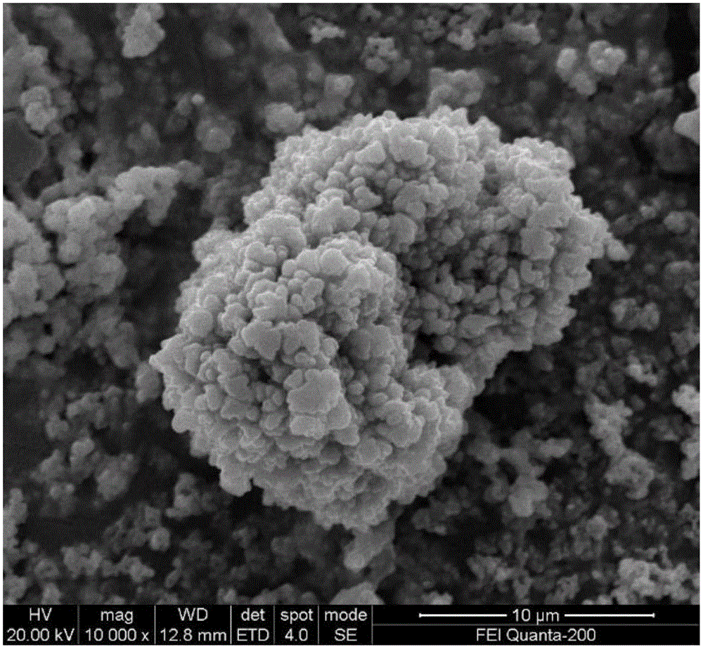 硒的三大实验(硒的三大实验)-硒宝网