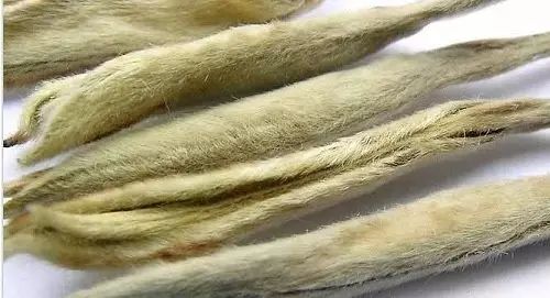 含硒的茶叶有什么作用(茶叶含作用硒有哪些)-硒宝网