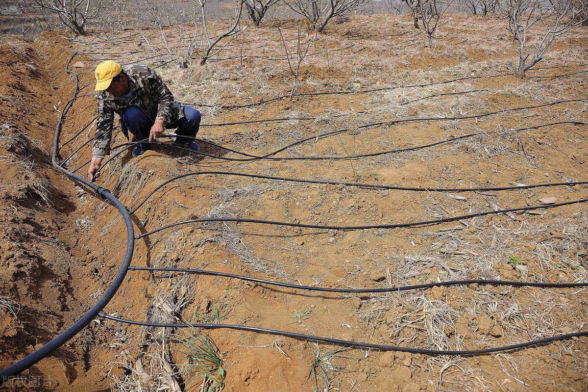 中卫硒砂瓜介绍（中卫硒砂瓜瓜王）-硒宝网