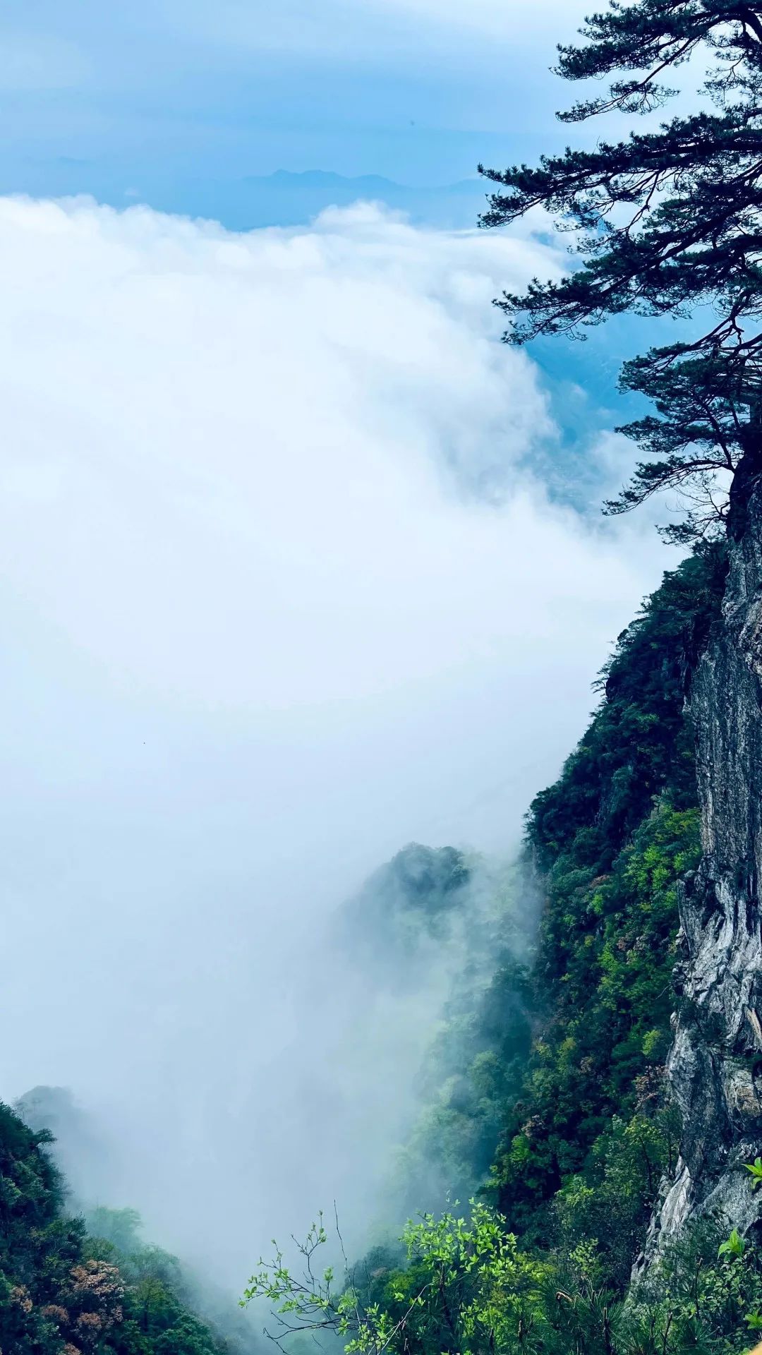 温汤富硒温泉(富硒温汤镇)-硒宝网